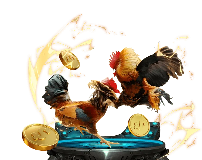 Đá gà trực tiếp ko66 casino tại đấu trường