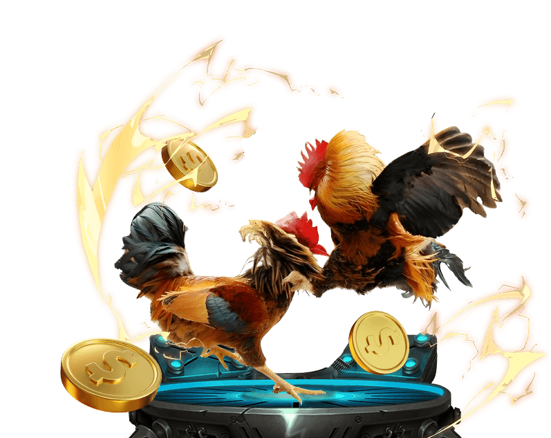 Đá gà trực tiếp ko66 casino với các trận đấu hấp dẫn